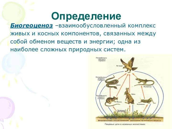 Определение Биогеоценоз –взаимообусловленный комплекс живых и косных компонентов, связанных между