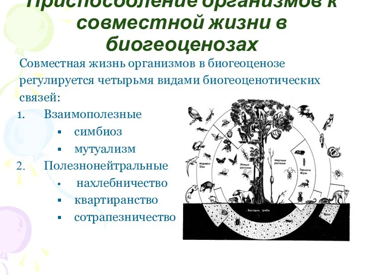 Приспособление организмов к совместной жизни в биогеоценозах Совместная жизнь организмов в биогеоценозе регулируется