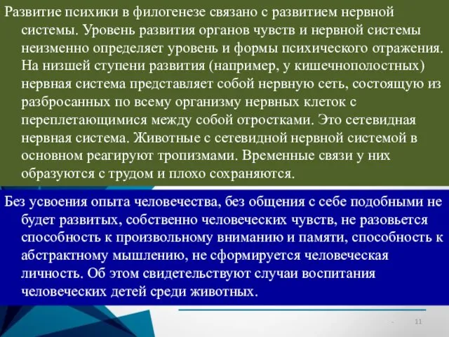 Развитие психики в филогенезе связано с развитием нервной системы. Уровень