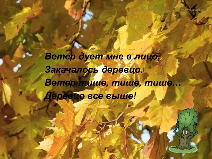 Ветер дует мне в лицо, Закачалось деревцо. Ветер тише, тише, тише… Деревцо все выше!