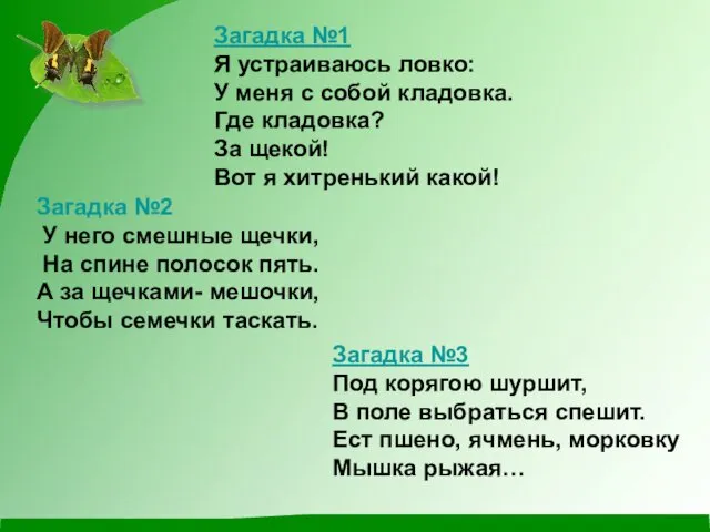 Загадка №1 Я устраиваюсь ловко: У меня с собой кладовка.