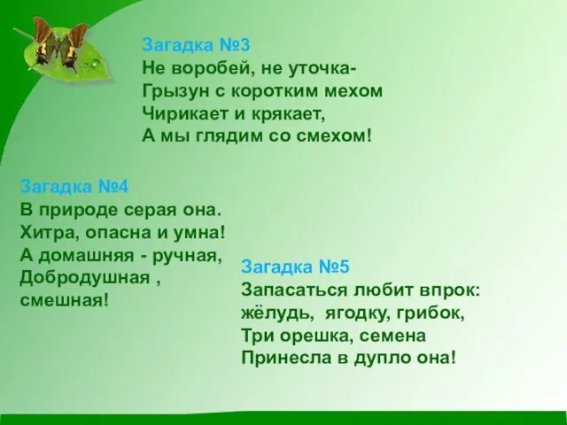 Загадка №3 Не воробей, не уточка- Грызун с коротким мехом