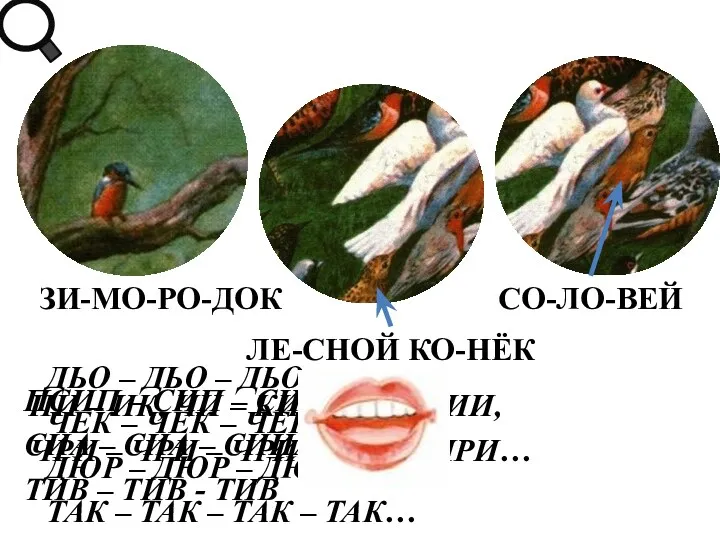 ЗИ-МО-РО-ДОК ЛЕ-СНОЙ КО-НЁК СО-ЛО-ВЕЙ ПИ – ИК, ЧИ – КИИ,