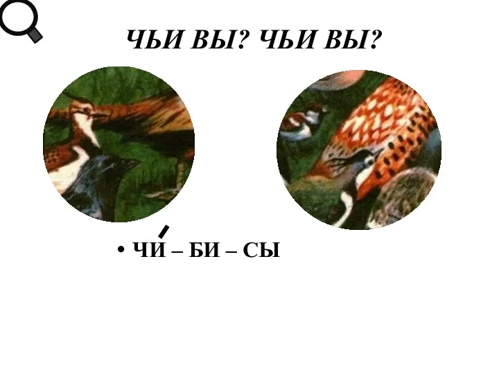 ЧИ – БИ – СЫ ЧЬИ ВЫ? ЧЬИ ВЫ?