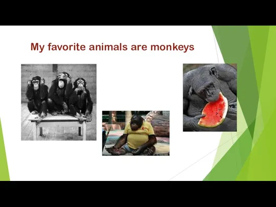 My favorite animals are monkeys