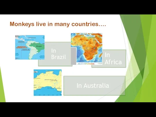 Monkeys live in many countries….