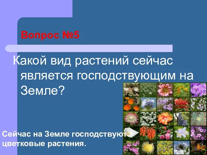 Вопрос №5 Какой вид растений сейчас является господствующим на Земле? Сейчас на Земле господствуют цветковые растения.