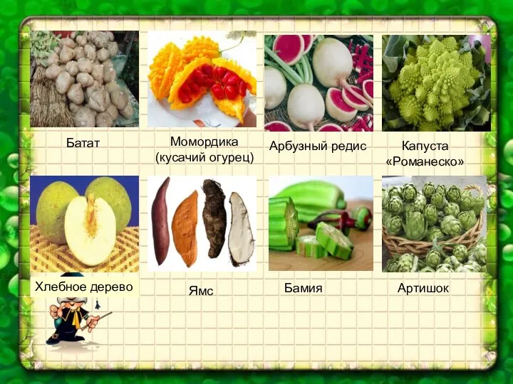 Батат Момордика (кусачий огурец) Арбузный редис Капуста «Романеско» Хлебное дерево Ямс Бамия Артишок