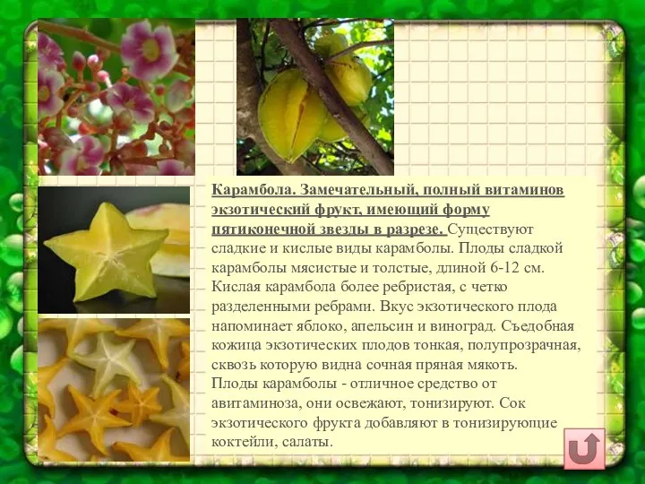 Карамбола. Замечательный, полный витаминов экзотический фрукт, имеющий форму пятиконечной звезды в разрезе. Существуют