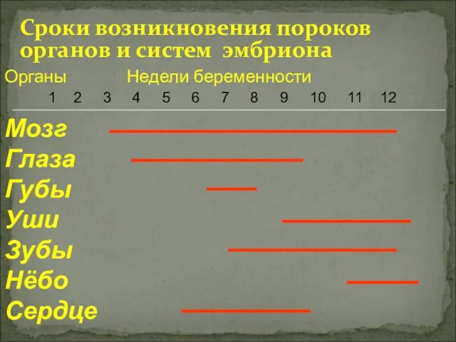 Сроки возникновения пороков органов и систем эмбриона Органы Недели беременности