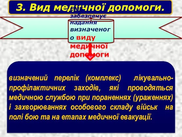 3. Вид медичної допомоги. ЕМЕ забезпечує надання визначеного виду медичної