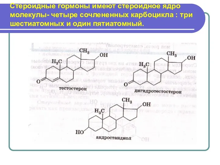 Стероидные гормоны имеют стероидное ядро молекулы- четыре сочлененных карбоцикла : три шестиатомных и один пятиатомный.