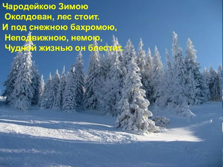 Чародейкою Зимою Околдован, лес стоит. И под снежною бахромою, Неподвижною, немою, Чудной жизнью он блестит.