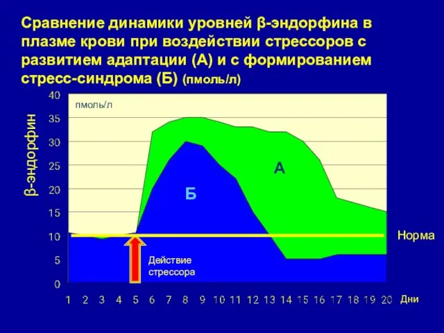 Сравнение динамики уровней β-эндорфина в плазме крови при воздействии стрессоров