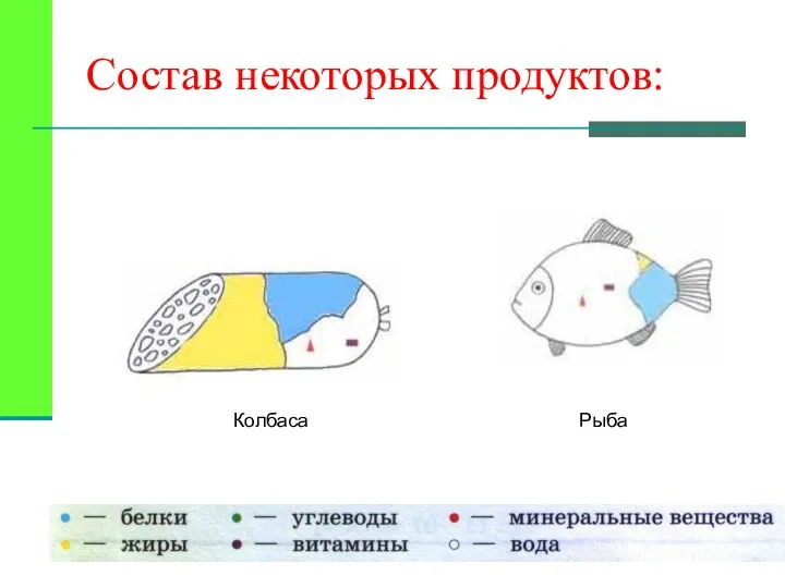 Колбаса Рыба Состав некоторых продуктов:
