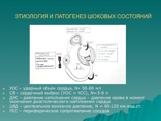 ЭТИОЛОГИЯ И ПАТОГЕНЕЗ ШОКОВЫХ СОСТОЯНИЙ УОС – ударный объем сердца, N= 50-80 мл