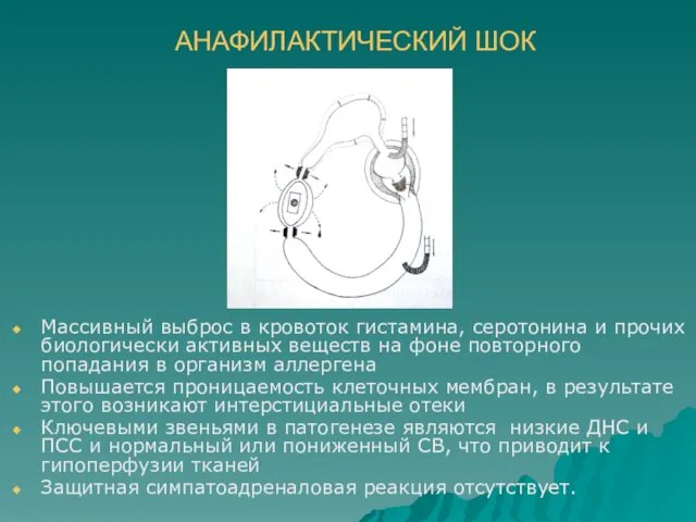 АНАФИЛАКТИЧЕСКИЙ ШОК Массивный выброс в кровоток гистамина, серотонина и прочих