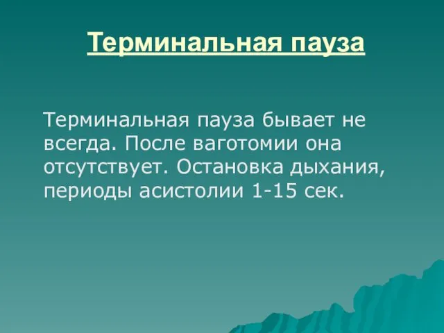 Терминальная пауза Терминальная пауза бывает не всегда. После ваготомии она отсутствует. Остановка дыхания,