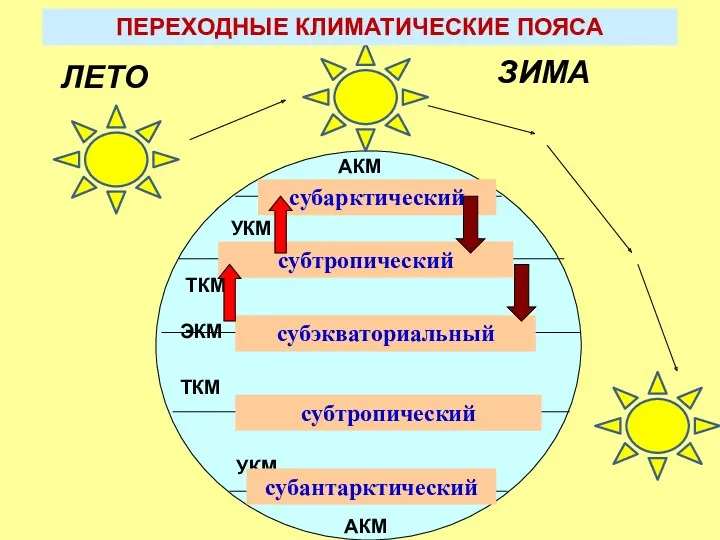 АКМ УКМ ЭКМ ТКМ ТКМ УКМ АКМ субарктический субтропический субэкваториальный