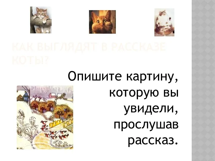 Как выглядят в рассказе коты? Опишите картину, которую вы увидели, прослушав рассказ.