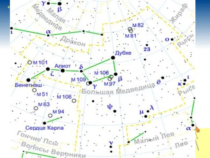 Больша́я Медве́дица незаходящее созвездие северного полушария неба. Семь звёзд Большой