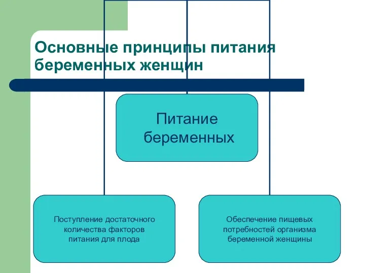 Основные принципы питания беременных женщин