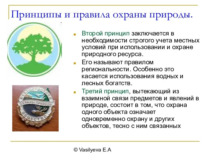 © Vasilyeva E.A Принципы и правила охраны природы. Второй принцип заключается в необходимости