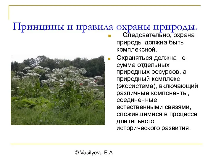 © Vasilyeva E.A Принципы и правила охраны природы. Следовательно, охрана природы должна быть