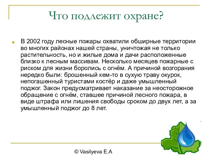 © Vasilyeva E.A Что подлежит охране? В 2002 году лесные пожары охватили обширные