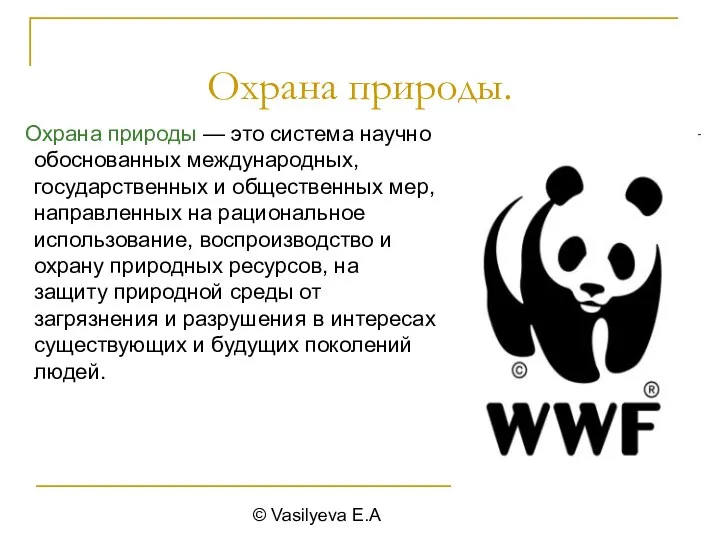 © Vasilyeva E.A Охрана природы. Охрана природы — это система научно обоснованных международных,