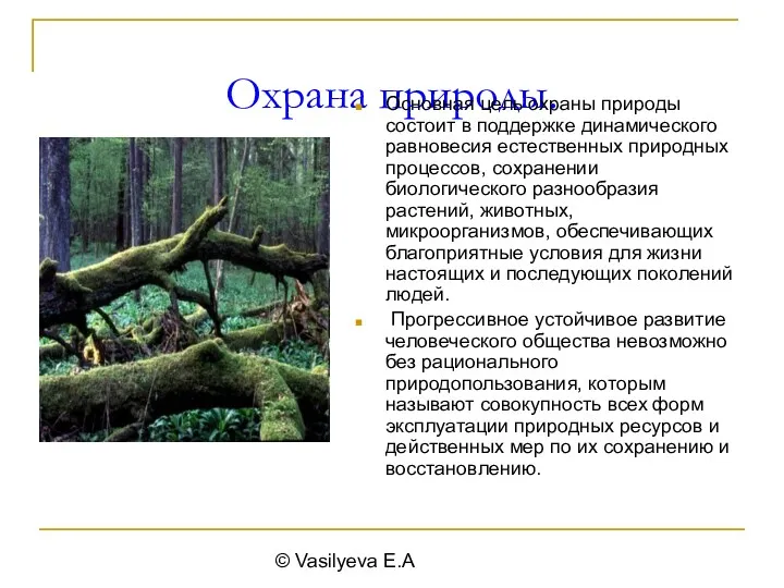 © Vasilyeva E.A Охрана природы. Основная цель охраны природы состоит в поддержке динамического