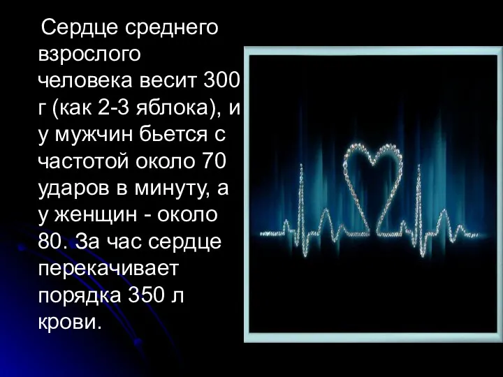 Сердце среднего взрослого человека весит 300 г (как 2-3 яблока), и у мужчин