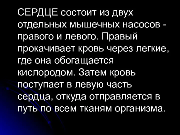 СЕРДЦЕ состоит из двух отдельных мышечных насосов - правого и левого. Правый прокачивает