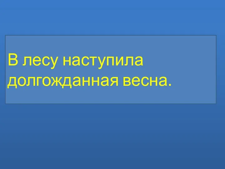 В лесу наступила долгожданная весна.