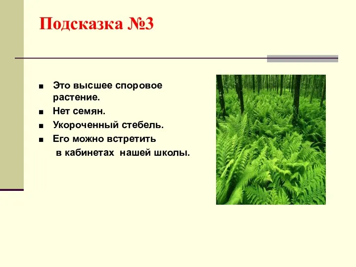 Подсказка №3 Это высшее споровое растение. Нет семян. Укороченный стебель.