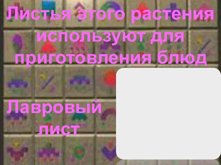 Листья этого растения используют для приготовления блюд Лавровый лист