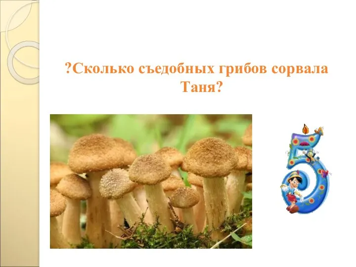 ?Сколько съедобных грибов сорвала Таня?