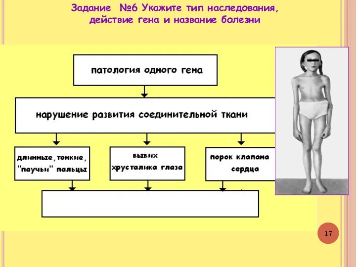 Задание №6 Укажите тип наследования, действие гена и название болезни