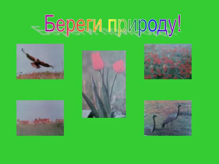 Береги природу!