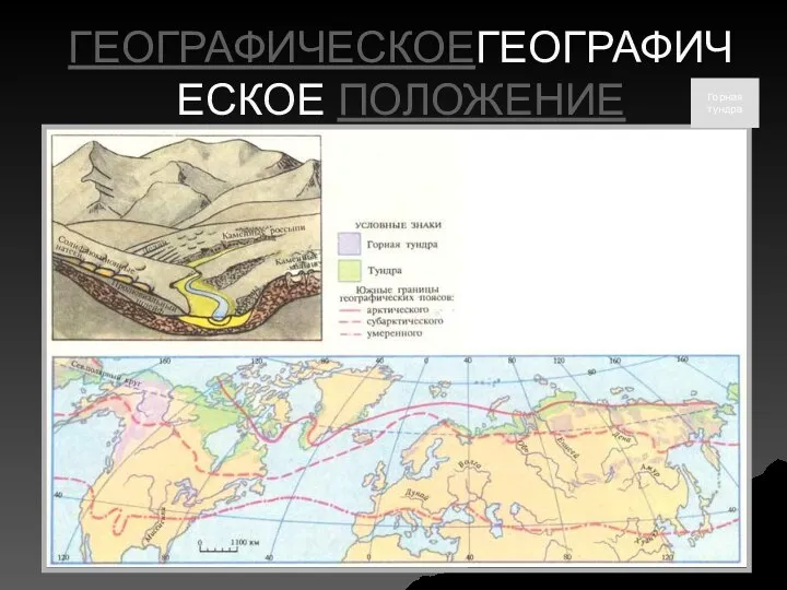 ГЕОГРАФИЧЕСКОЕГЕОГРАФИЧЕСКОЕ ПОЛОЖЕНИЕ Горная тундра