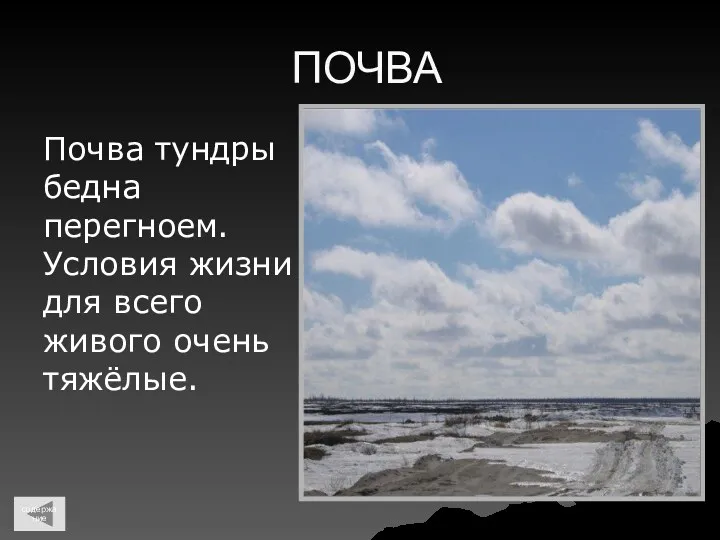 ПОЧВА Почва тундры бедна перегноем. Условия жизни для всего живого очень тяжёлые. содержание