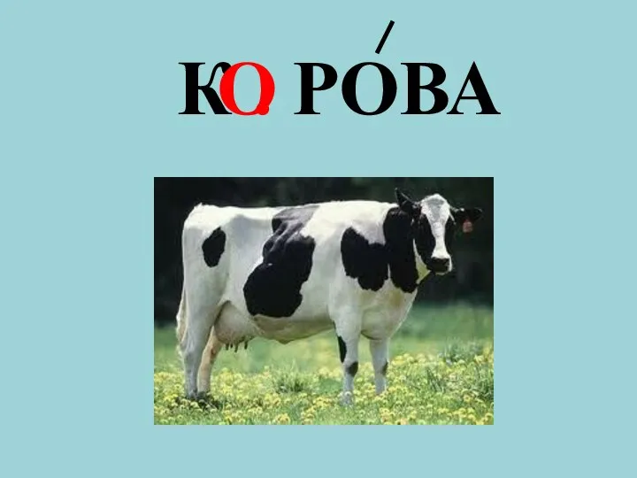 К . РОВА О