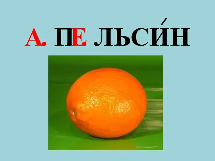. П . ЛЬСИН А Е
