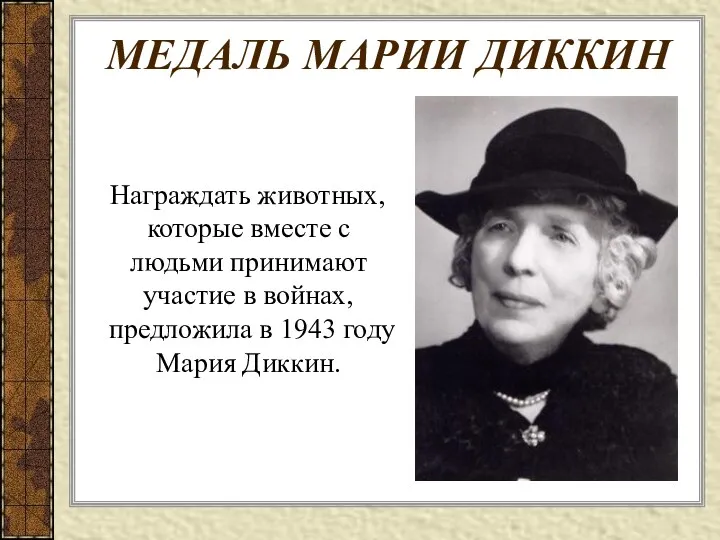 МЕДАЛЬ МАРИИ ДИККИН Награждать животных, которые вместе с людьми принимают