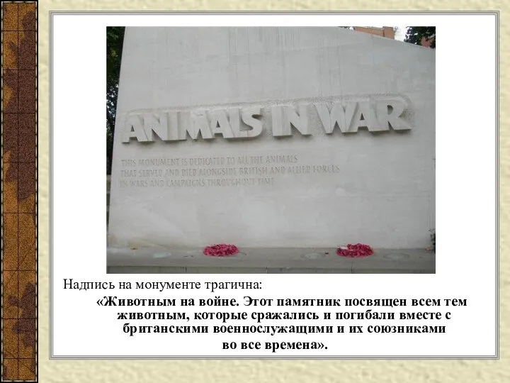 Надпись на монументе трагична: «Животным на войне. Этот памятник посвящен