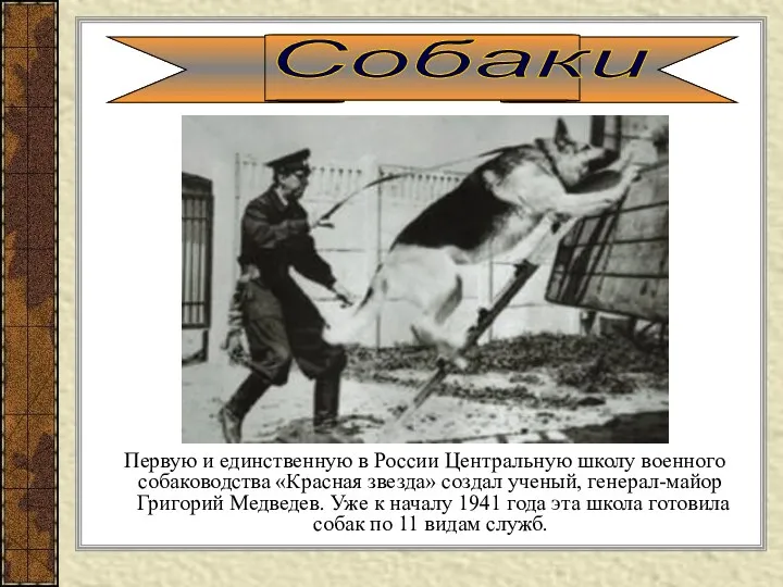 Первую и единственную в России Центральную школу военного собаководства «Красная