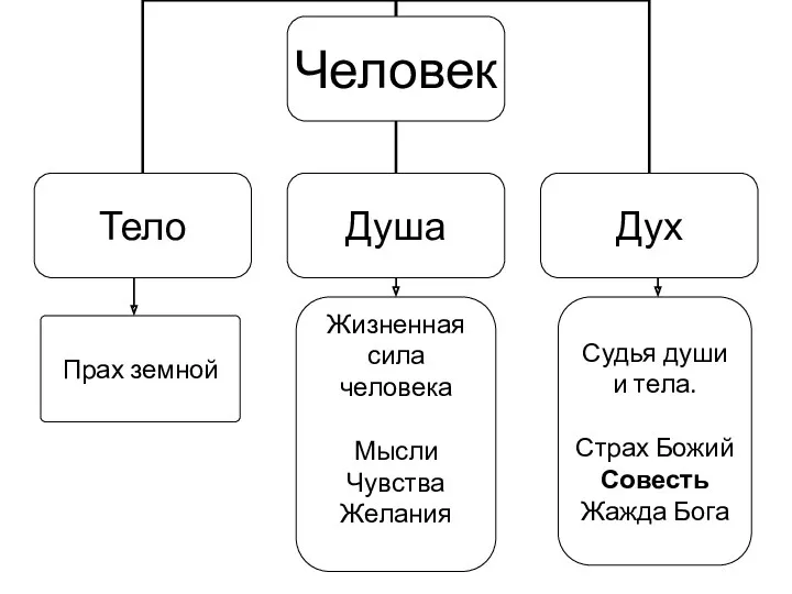 Прах земной Жизненная сила человека Мысли Чувства Желания Судья души