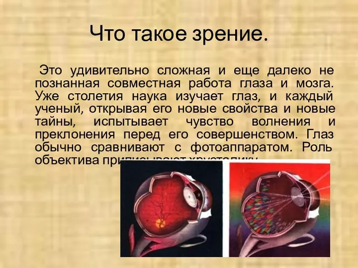 Что такое зрение. Это удивительно сложная и еще далеко не