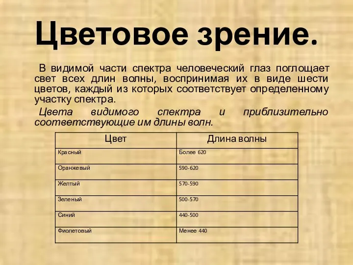 Цветовое зрение. В видимой части спектра человеческий глаз поглощает свет