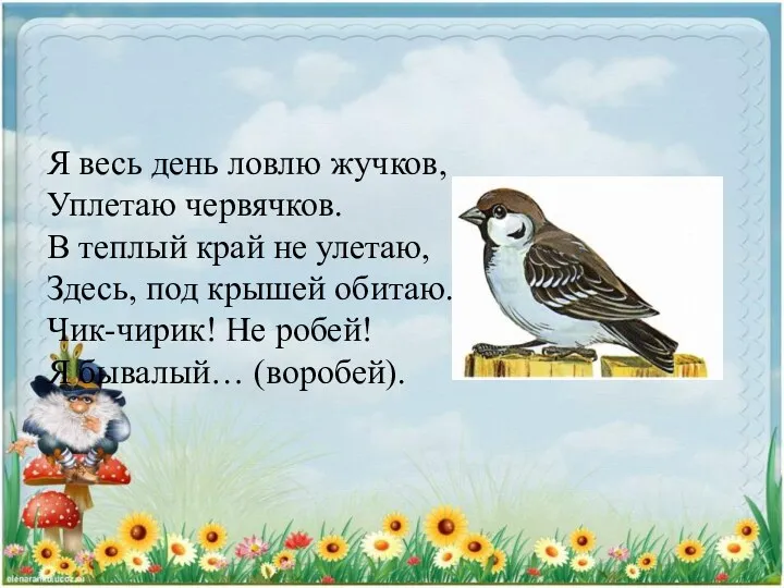 Я весь день ловлю жучков, Уплетаю червячков. В теплый край